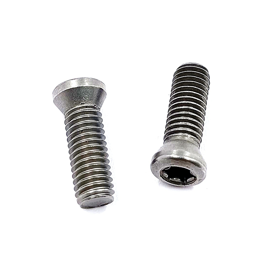 Винт М5,0х16 державки для крепления пластины TORX (к-т из 10 шт.)