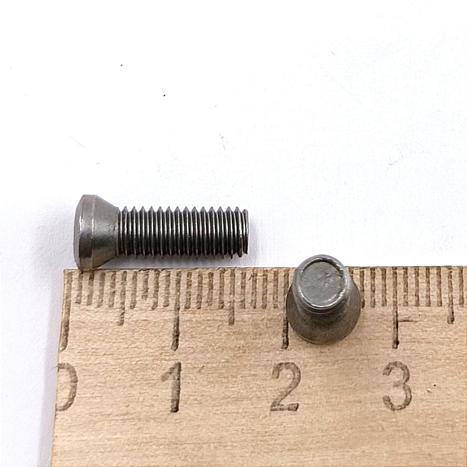 Винт М5,0х16 державки для крепления пластины TORX (к-т из 10 шт.)