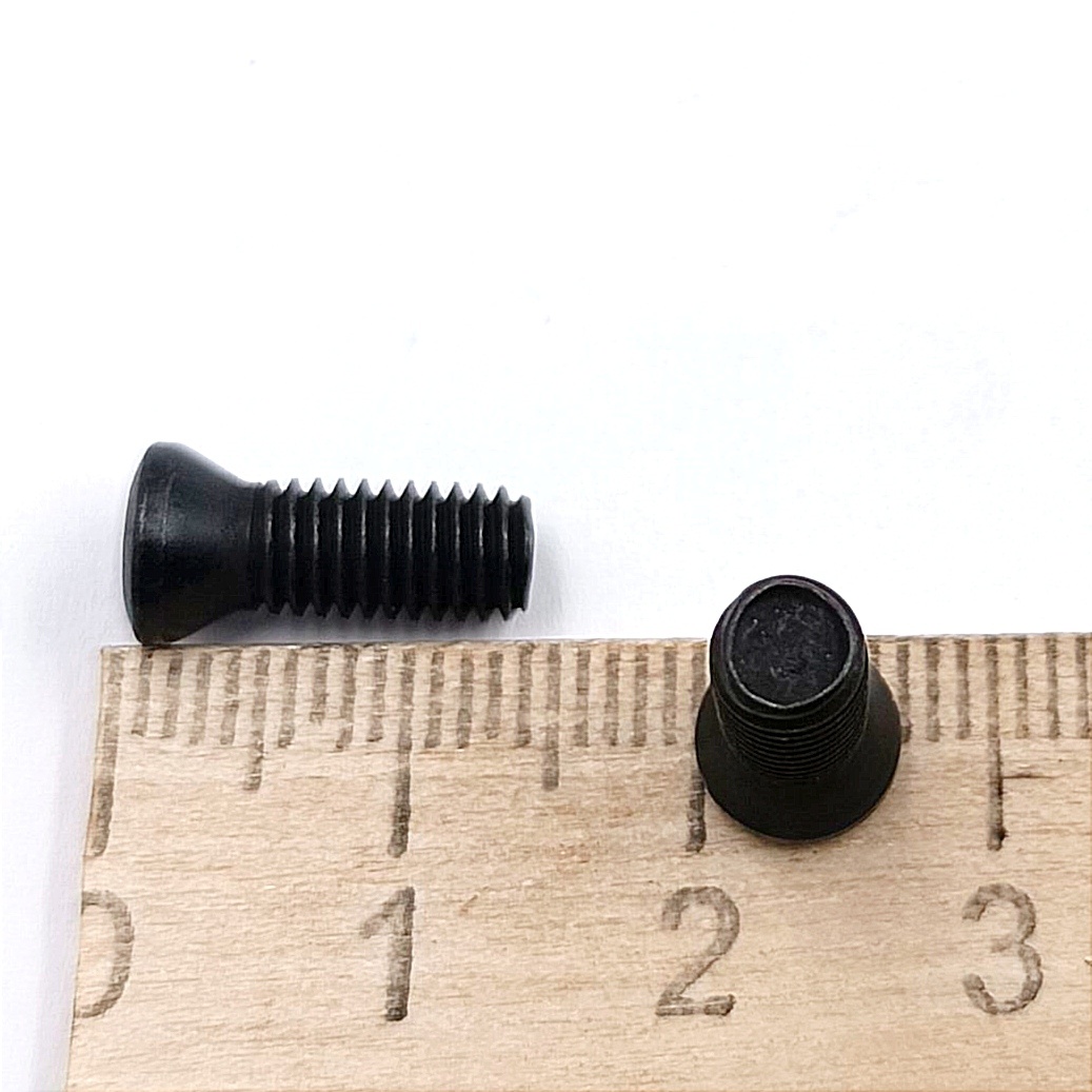 Винт М5,0х14 державки для крепления пластины TORX (к-т из 10шт.)