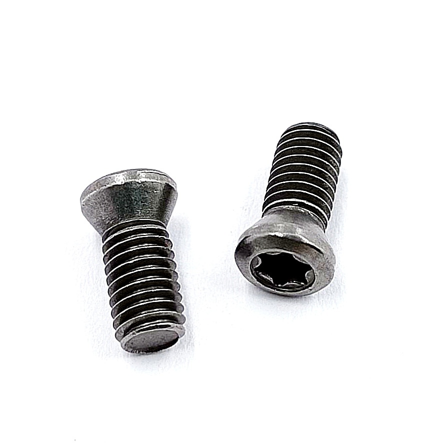 Винт М5,0х12 державки для крепления пластины TORX (к-т из 10шт.)