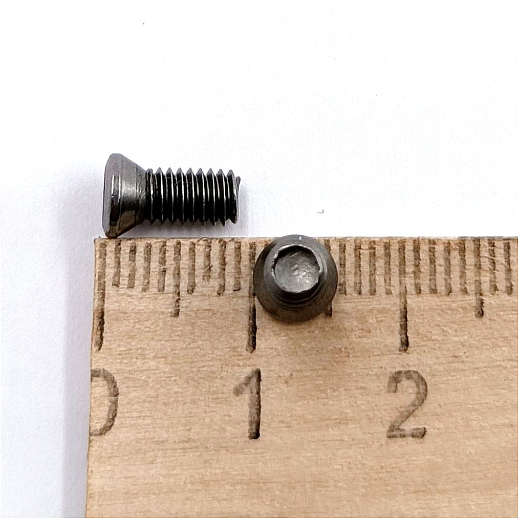 Винт М4,0х09 державки для крепления пластины TORX (к-т из 10шт.)