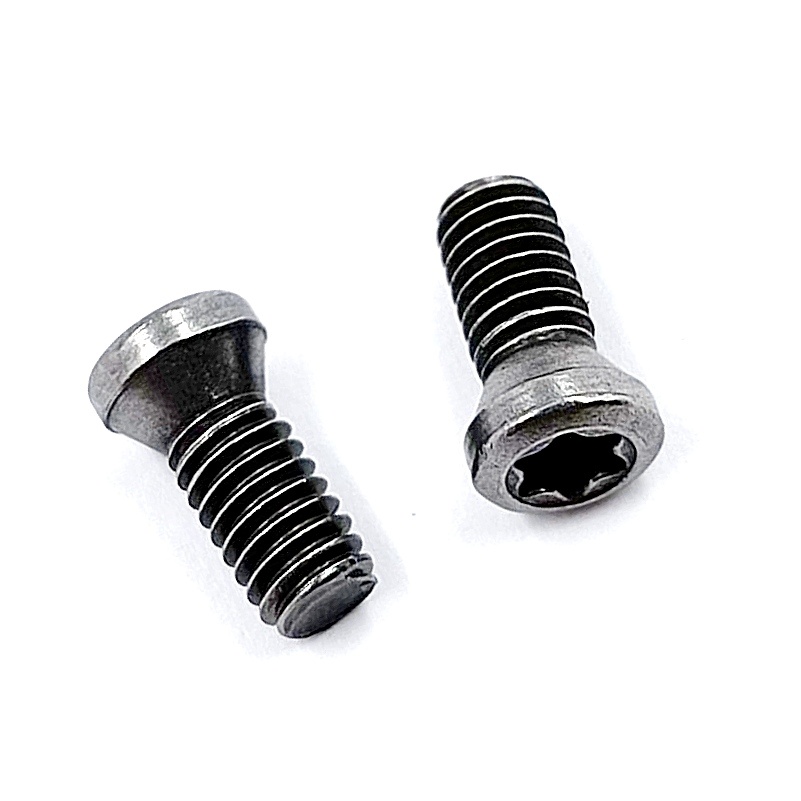 Винт М4,0х10 державки для крепления пластины TORX (к-т из 10 шт.)