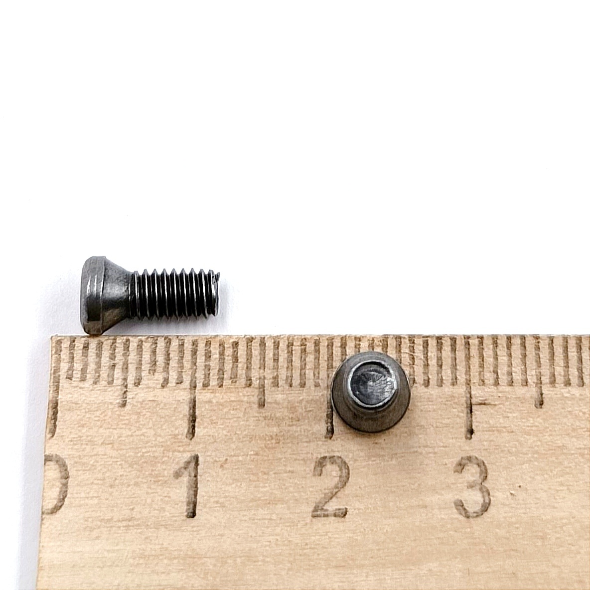 Винт М4,0х10 державки для крепления пластины TORX (к-т из 10 шт.)