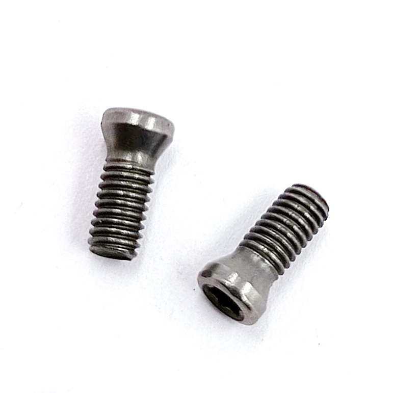 Винт М3,0х08 державки для крепления пластины TORX (к-т из 10шт.)