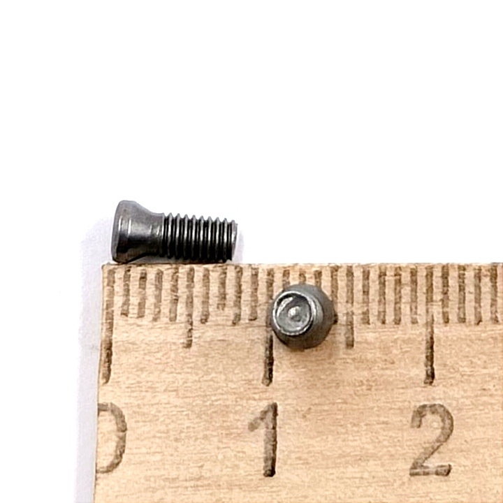 Винт М3,0х08 державки для крепления пластины TORX (к-т из 10шт.)