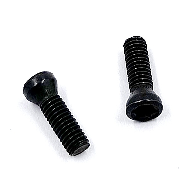 Винт М3,0х10 державки для крепления пластины TORX (к-т из 10 шт.)