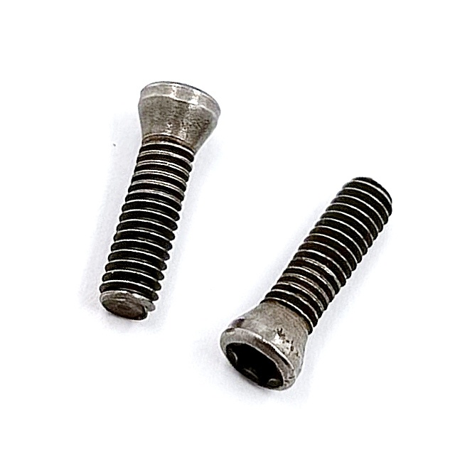 Винт М2,5х10 державки для крепления пластины TORX (к-т из 10 шт.)