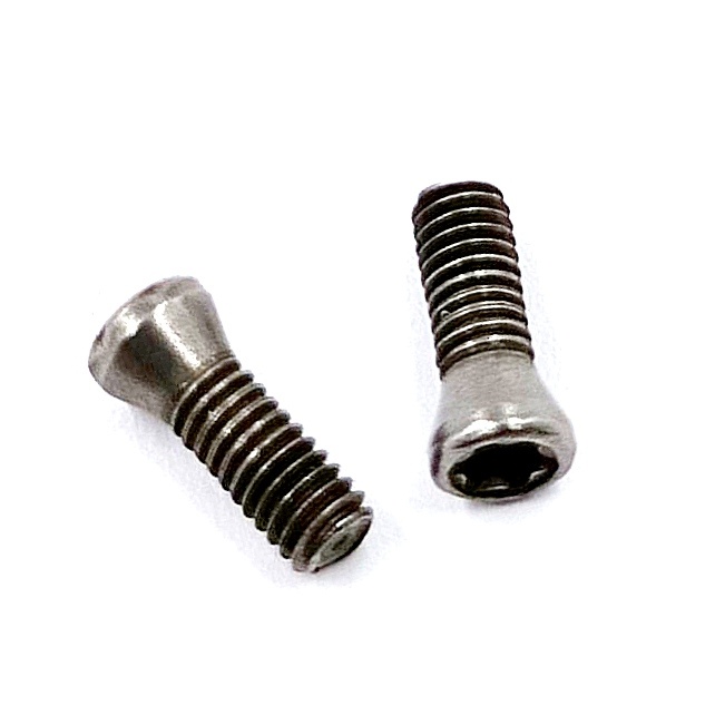 Винт М2,5х08 державки для крепления пластины TORX (к-т из 10 шт.)