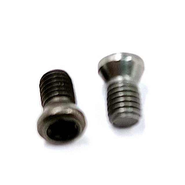 Винт М5,0х10 державки для крепления пластины TORX (к-т из 10шт.)