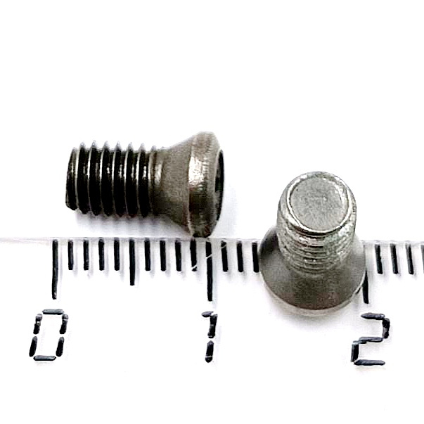 Винт М5,0х10 державки для крепления пластины TORX (к-т из 10шт.)
