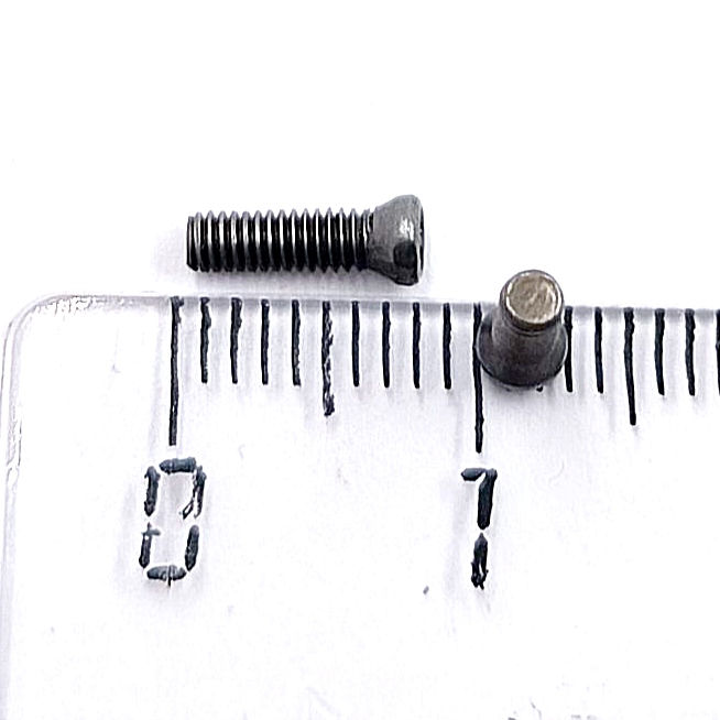 Винт М2,2х08 державки для крепления пластины TORX (к-т из 10шт.)