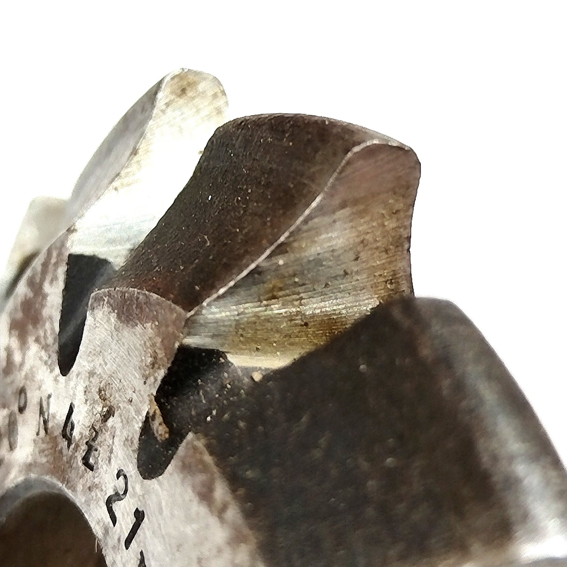 Фреза дисковая зуборезная модульная м5,0 №4 20° 9ХС ГОСТ 10996-64