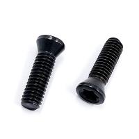 Винт М4,5х16 державки для крепления пластины TORX (к-т из 10 шт.)