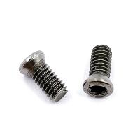 Винт М4,0х09 державки для крепления пластины TORX (к-т из 10шт.)