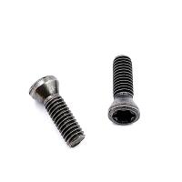 Винт М3,5х12 державки для крепления пластины TORX (к-т из 10 шт.)