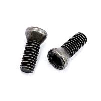Винт М3,5х10 державки для крепления пластины TORX (к-т из 10 шт.)
