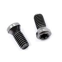 Винт М4,0х10 державки для крепления пластины TORX (к-т из 10 шт.)