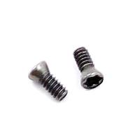 Винт М1,6х04 державки для крепления пластины TORX (к-т из 10шт.) 